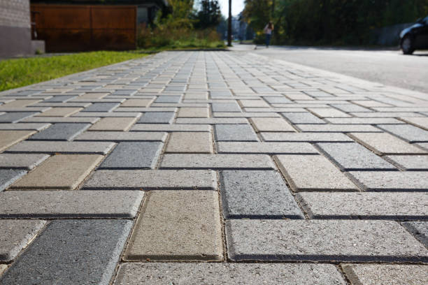 Best Custom Driveway Pavers  in Wahpeton, ND