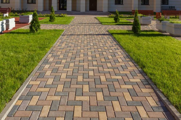 Best Local Driveway Pavers  in Wahpeton, ND