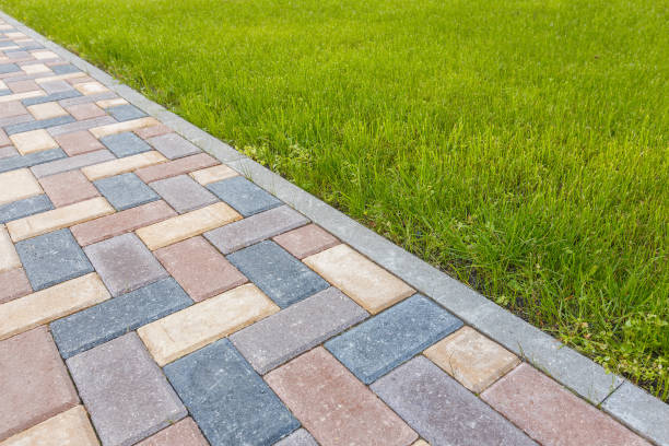 Best Best Driveway Pavers  in Wahpeton, ND